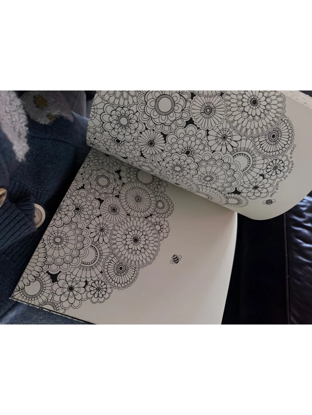 (2) secret garden adult coloring book